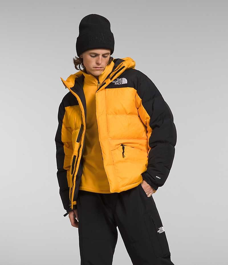 Men\'s The North Face HMLYN Down Parka Gold / Black | TORONTO CHBEPG