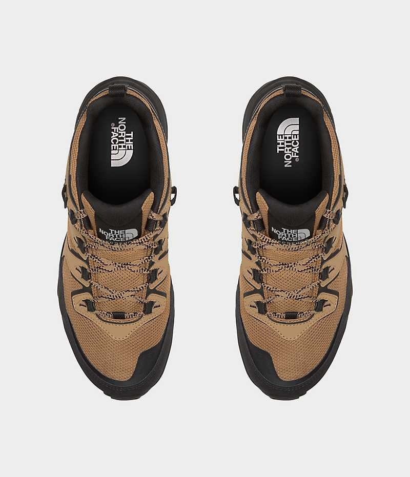 Men's The North Face Hedgehog 3 Waterproof Hiking Shoes Brown / Black | CANADA FQXEAW