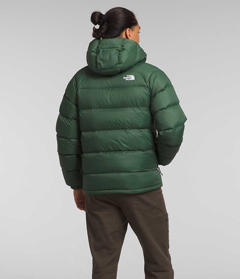 Men's The North Face Hydrenalite™ Hoodie Down Jacket Green | TORONTO FROSDI