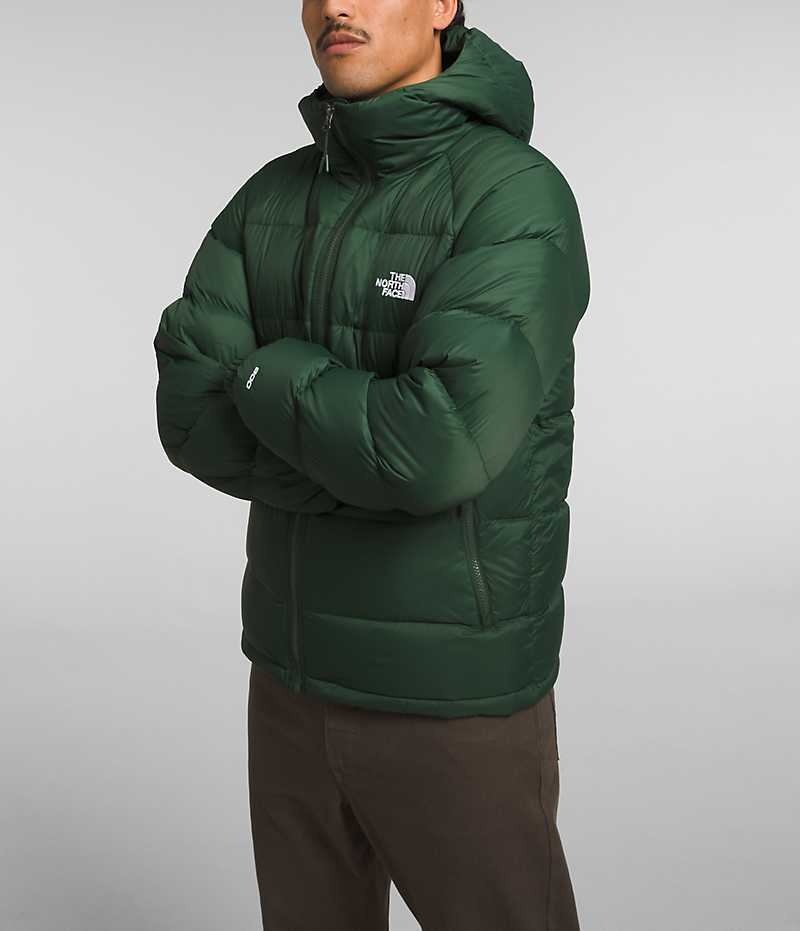 Men's The North Face Hydrenalite™ Hoodie Down Jacket Green | TORONTO FROSDI