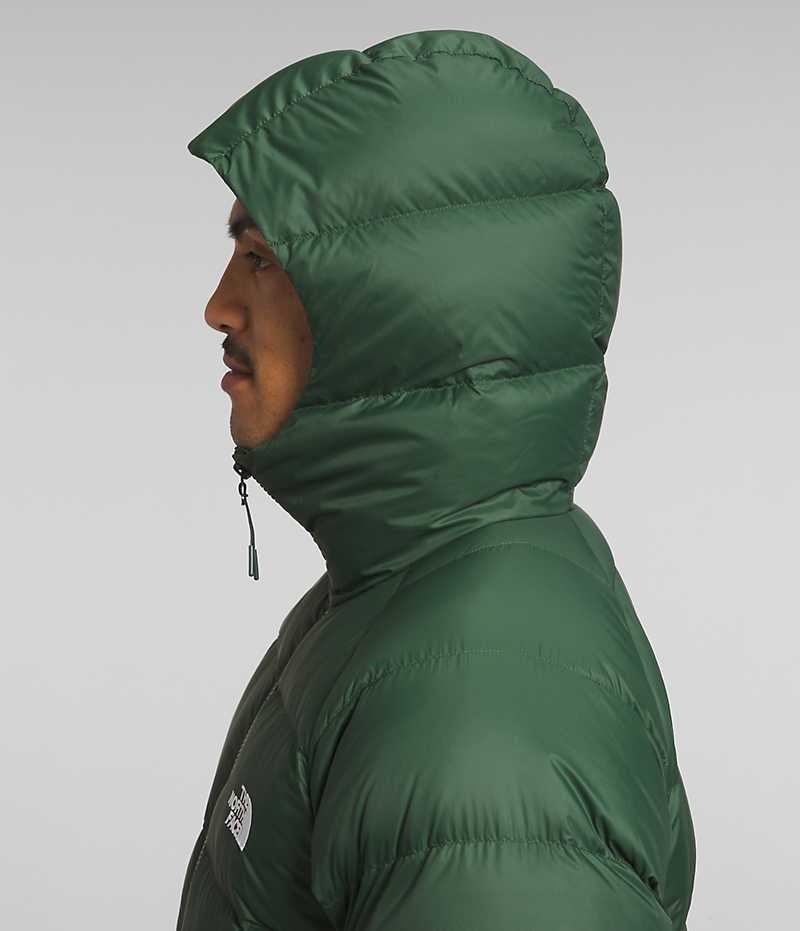 Men's The North Face Hydrenalite™ Hoodie Down Jacket Green | TORONTO FROSDI