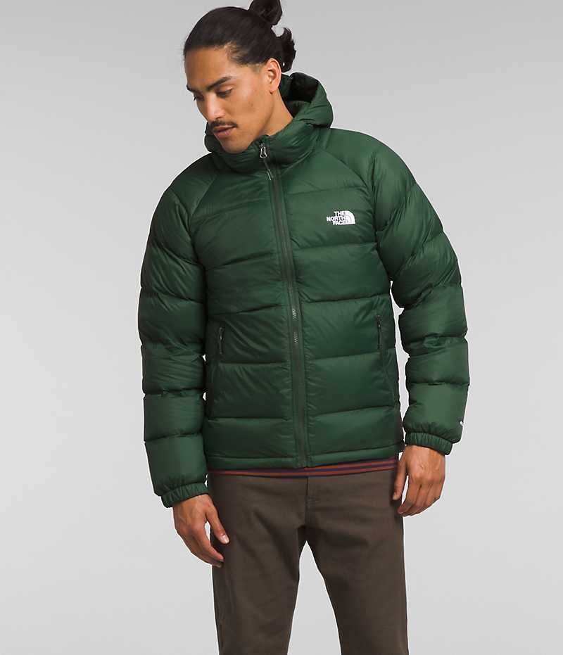 Men\'s The North Face Hydrenalite™ Hoodie Down Jacket Green | TORONTO FROSDI