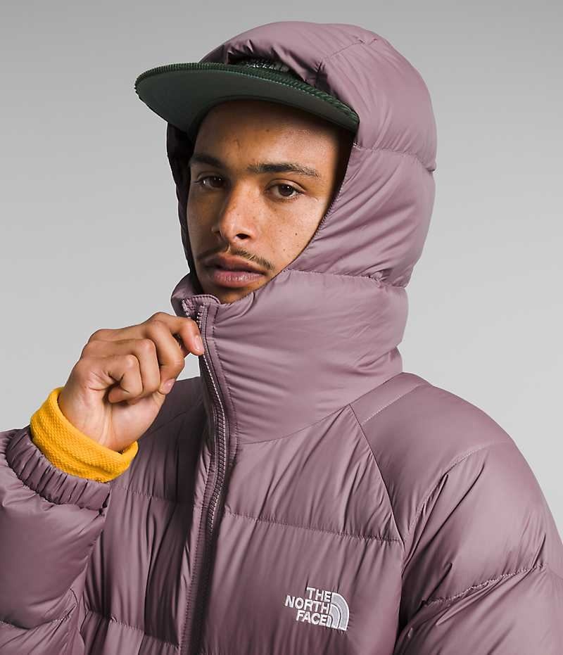 Men's The North Face Hydrenalite™ Hoodie Down Jacket Fuchsia | OTTAWA DJWFRT