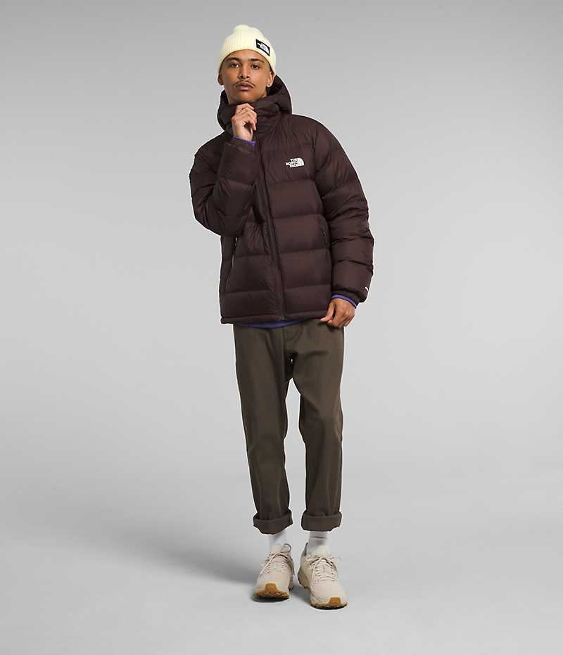 Men's The North Face Hydrenalite™ Hoodie Down Jacket Burgundy | CANADA VMEHQW