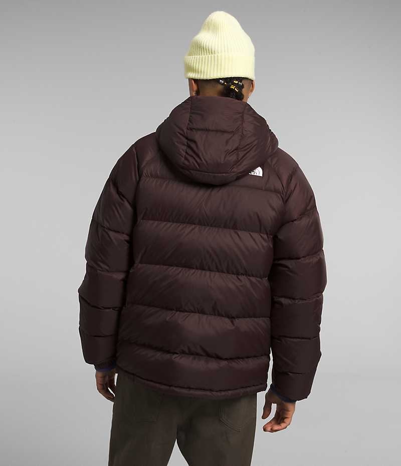 Men's The North Face Hydrenalite™ Hoodie Down Jacket Burgundy | CANADA VMEHQW