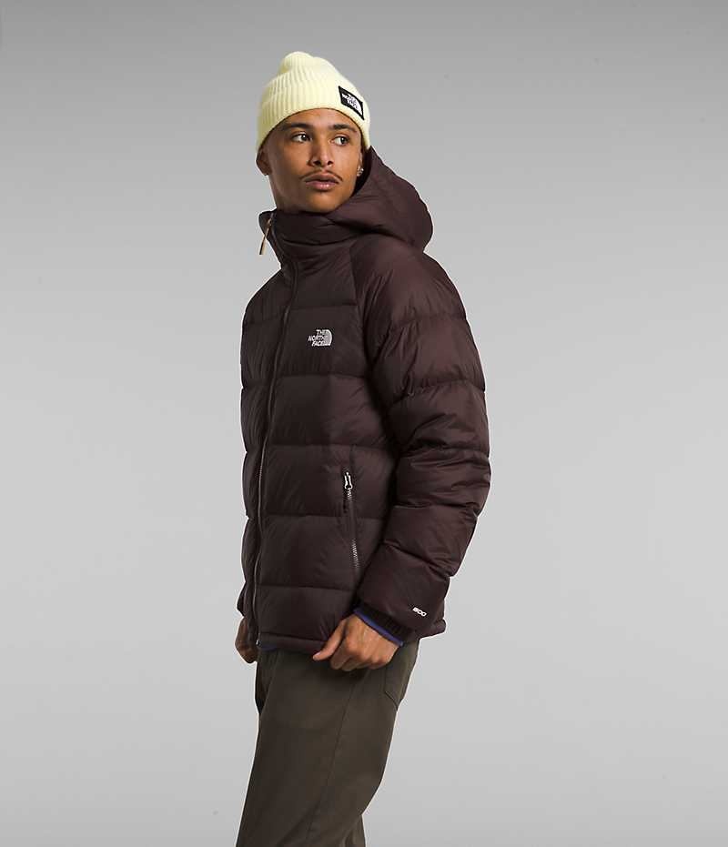 Men's The North Face Hydrenalite™ Hoodie Down Jacket Burgundy | CANADA VMEHQW