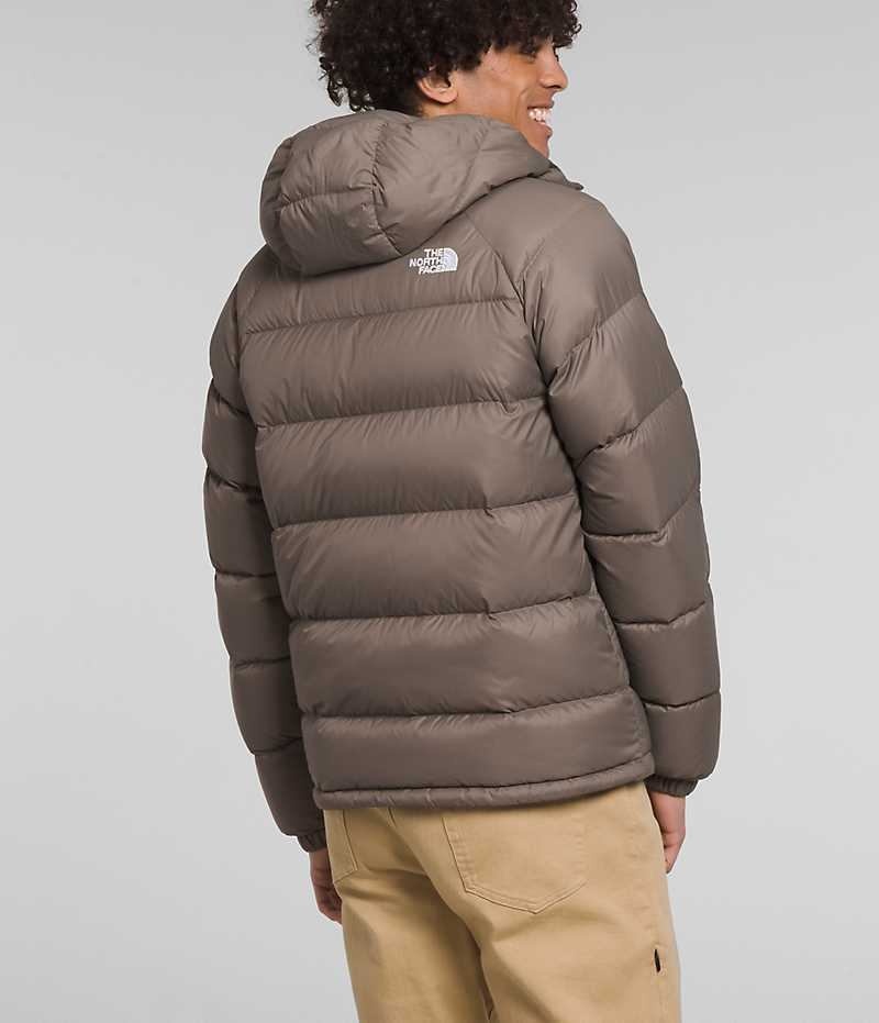 Men's The North Face Hydrenalite™ Hoodie Down Jacket Brown | TORONTO IRGAXQ