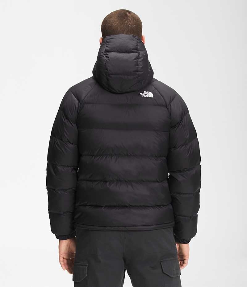 Men's The North Face Hydrenalite™ Hoodie Down Jacket Black | OTTAWA TQFGRI