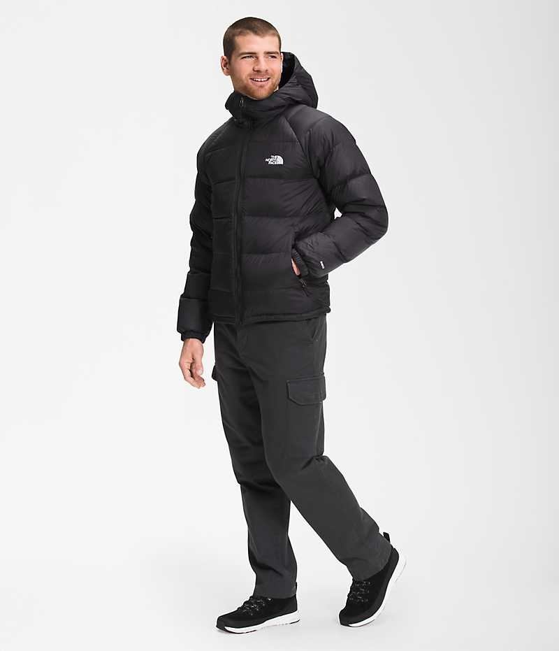 Men's The North Face Hydrenalite™ Hoodie Down Jacket Black | OTTAWA TQFGRI