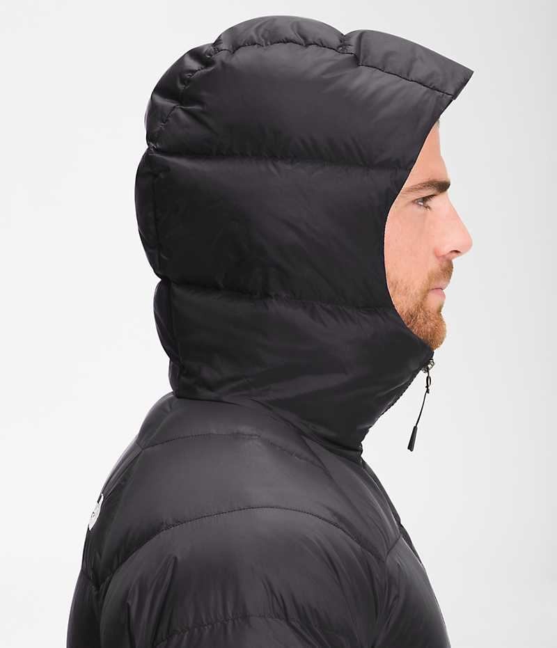 Men's The North Face Hydrenalite™ Hoodie Down Jacket Black | OTTAWA TQFGRI