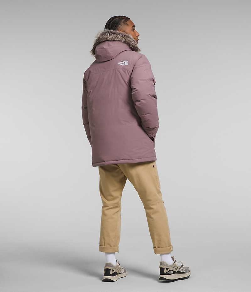 Men's The North Face McMurdo Parka Fuchsia | OTTAWA SECYXH