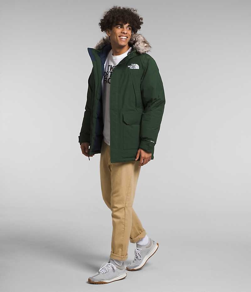 Men's The North Face McMurdo Parka Green | CANADA GPFMQW