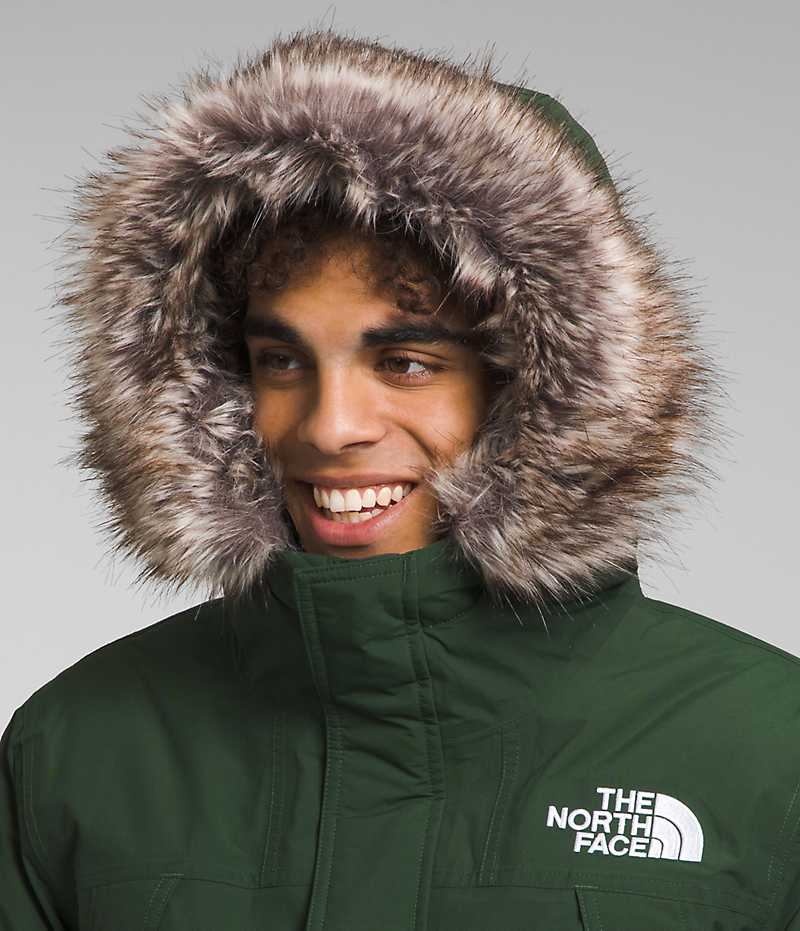 Men's The North Face McMurdo Parka Green | CANADA GPFMQW