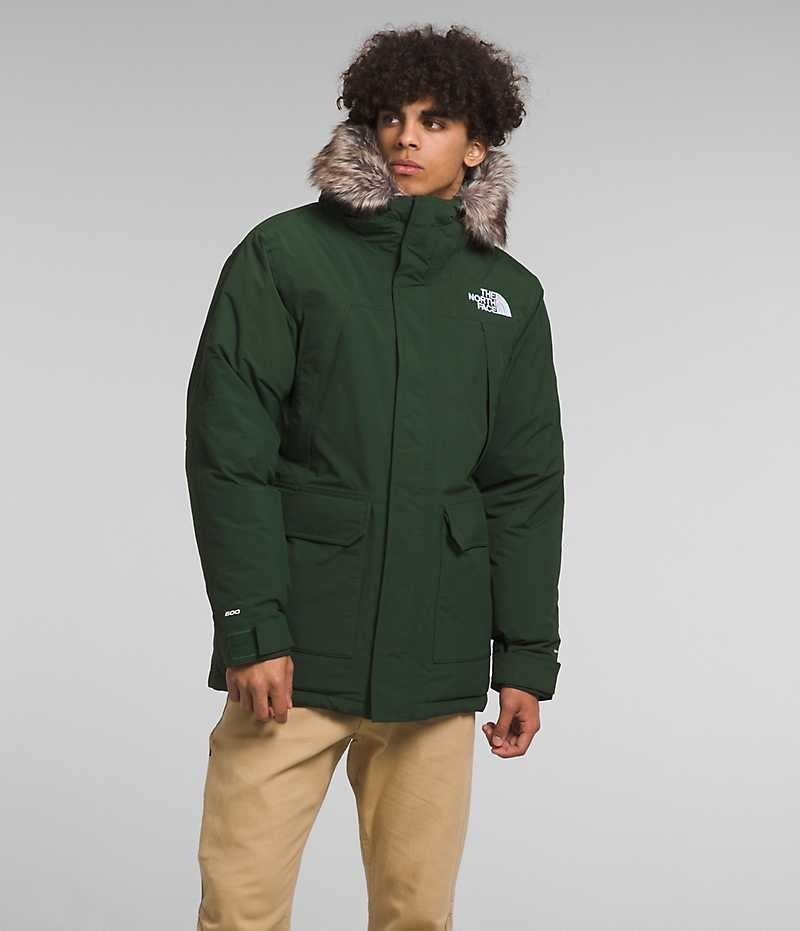 Men\'s The North Face McMurdo Parka Green | CANADA GPFMQW