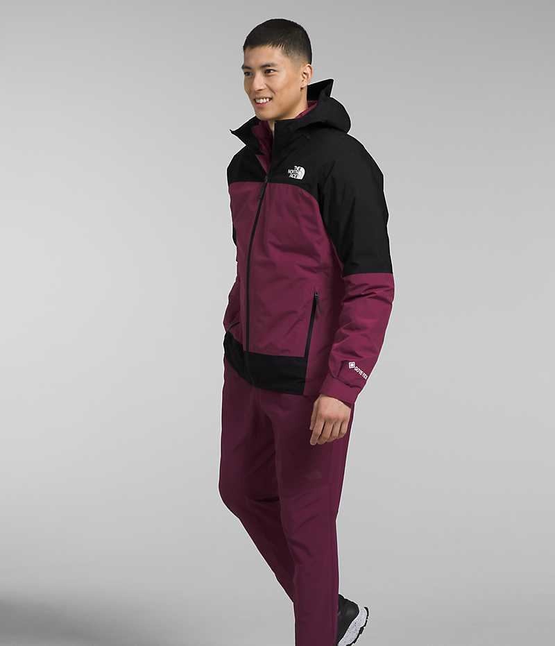 Men's The North Face Mountain Light Triclimate® GTX Hooded Jacket Fuchsia | TORONTO XJUGBQ