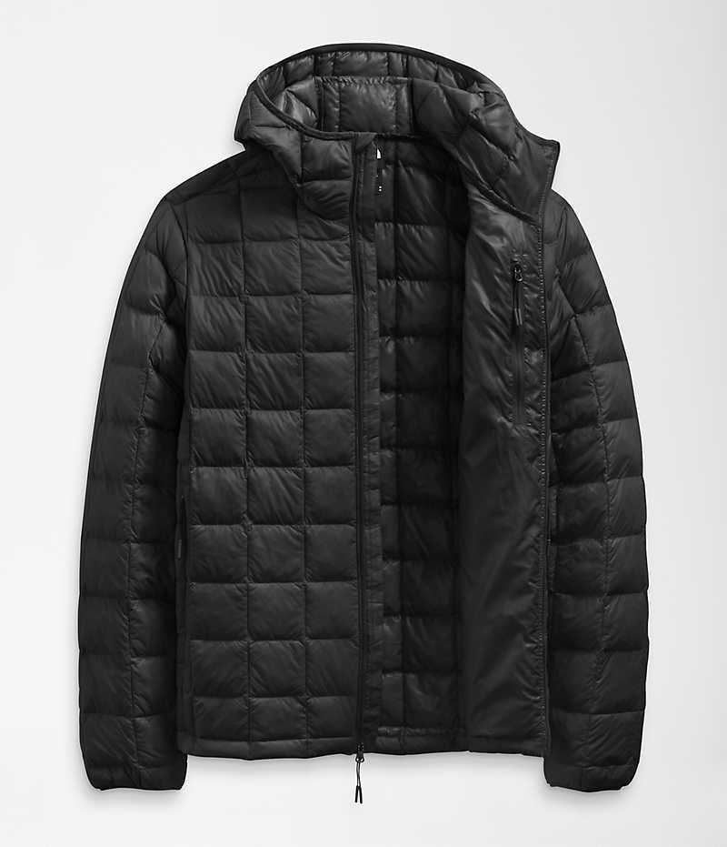 Men's The North Face ThermoBall™ Eco Hoodie 2.0 Down Jacket Black | CANADA ZPCUJM