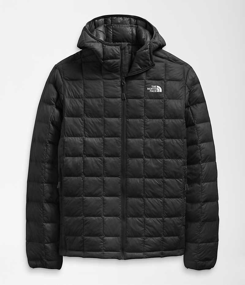 Men's The North Face ThermoBall™ Eco Hoodie 2.0 Down Jacket Black | CANADA ZPCUJM