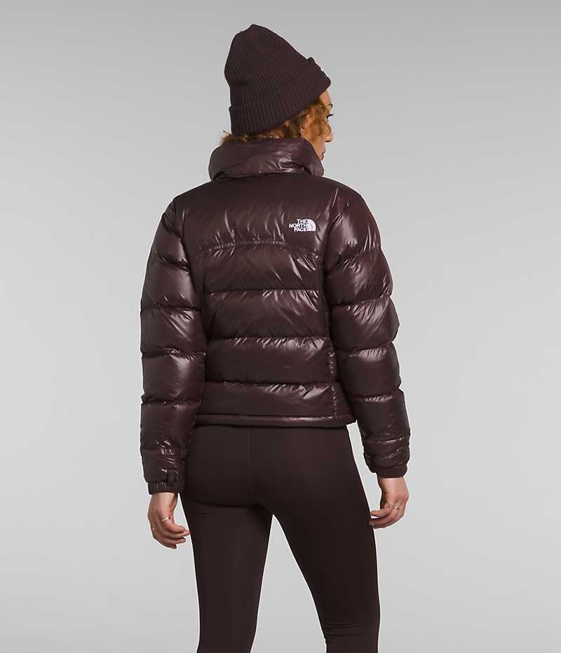 Women's The North Face 2000 Retro Nuptse Down Jacket Brown | OTTAWA ZYVORE