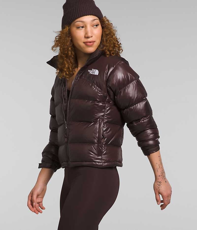 Women's The North Face 2000 Retro Nuptse Down Jacket Brown | OTTAWA ZYVORE