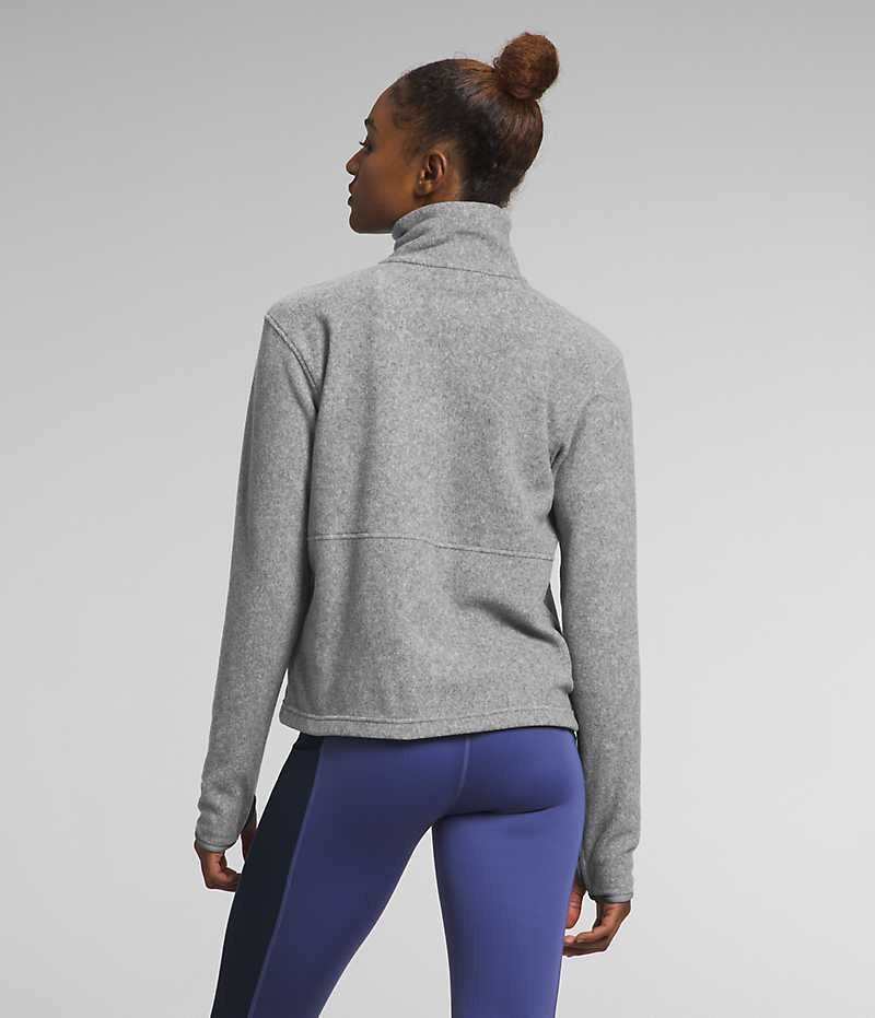 Women's The North Face Alpine Polartec® 100 ¼-Zip Cowl Sweatshirt Grey | OTTAWA FTAYUJ