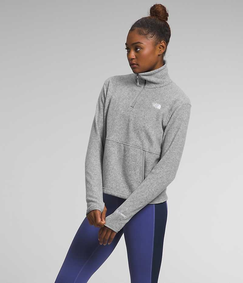 Women's The North Face Alpine Polartec® 100 ¼-Zip Cowl Sweatshirt Grey | OTTAWA FTAYUJ