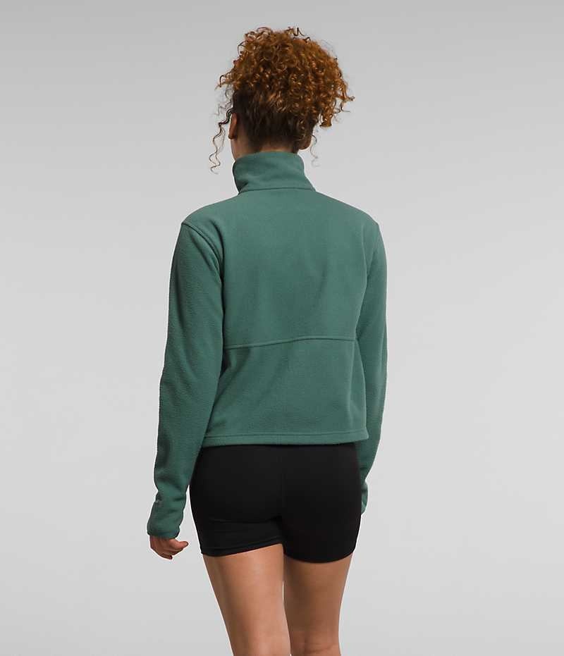 Women's The North Face Alpine Polartec® 100 ¼-Zip Cowl Sweatshirt Green | OTTAWA JKNADE