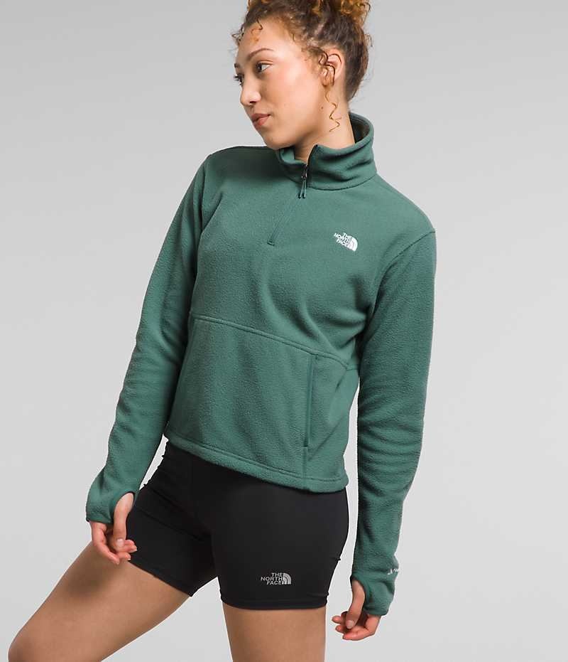 Women's The North Face Alpine Polartec® 100 ¼-Zip Cowl Sweatshirt Green | OTTAWA JKNADE