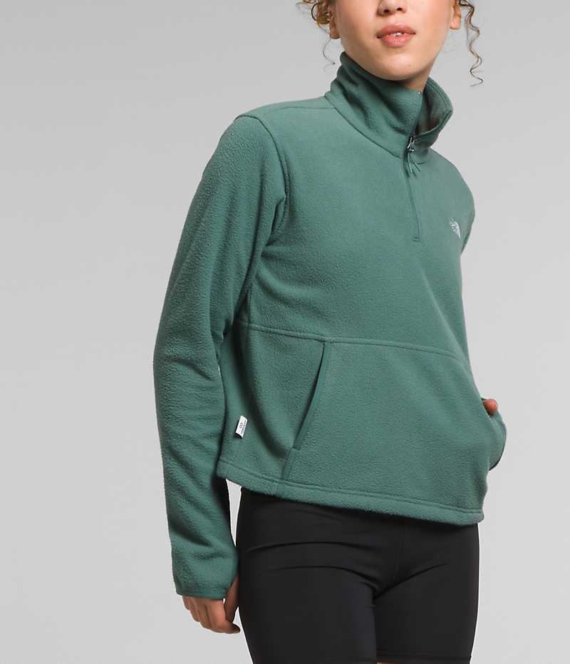 Women's The North Face Alpine Polartec® 100 ¼-Zip Cowl Sweatshirt Green | OTTAWA JKNADE