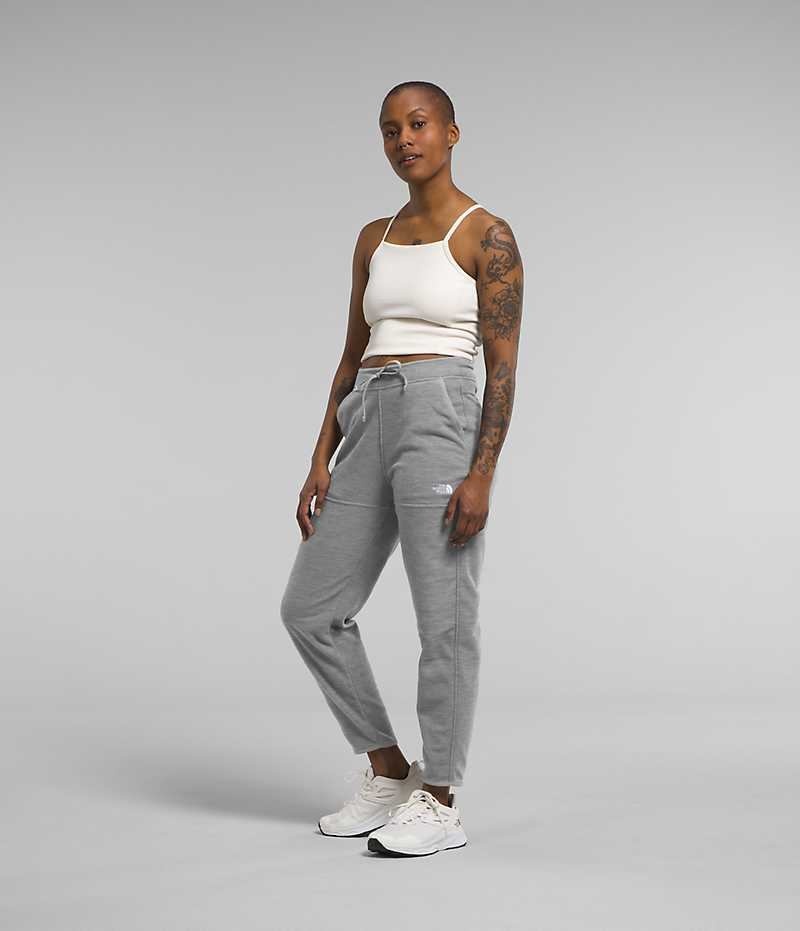 Women's The North Face Alpine Polartec® 100 Fleece Pants Grey | CANADA ANBVMQ