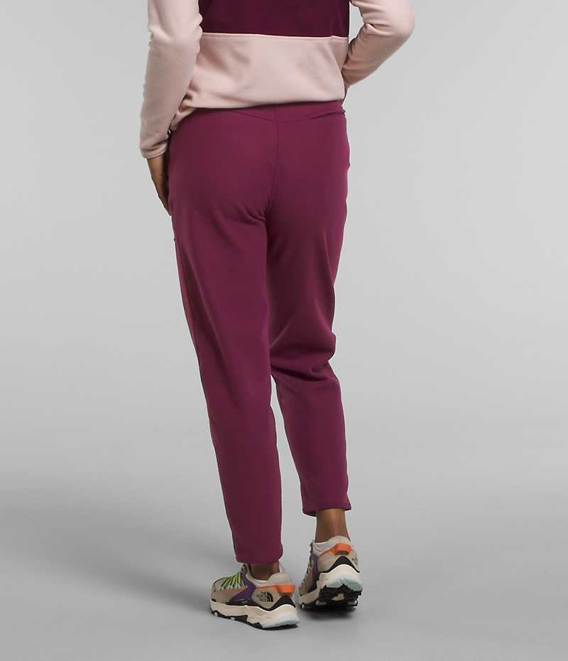 Women's The North Face Alpine Polartec® 100 Fleece Pants Burgundy | OTTAWA NQBSEY