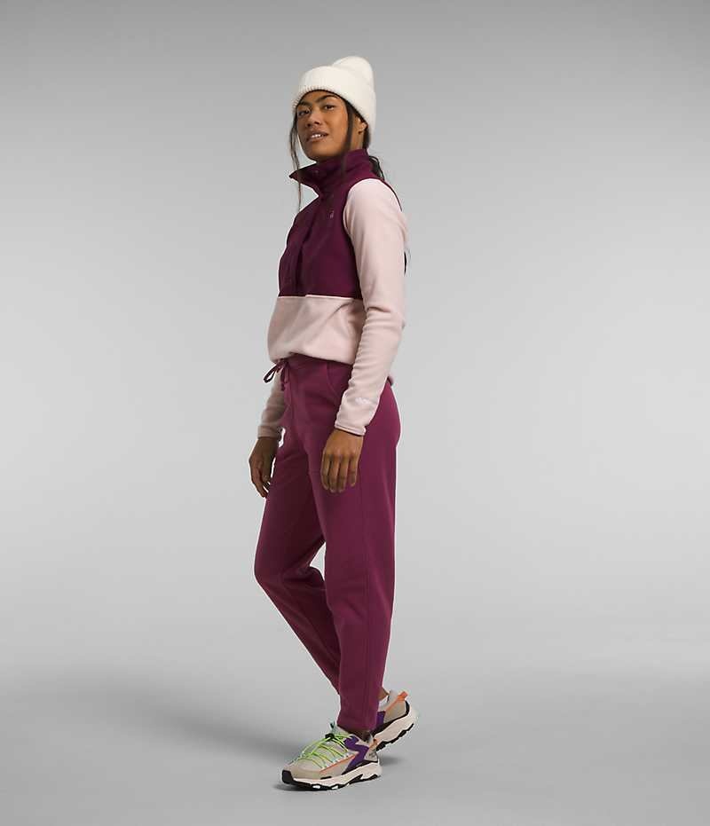 Women's The North Face Alpine Polartec® 100 Fleece Pants Burgundy | OTTAWA NQBSEY