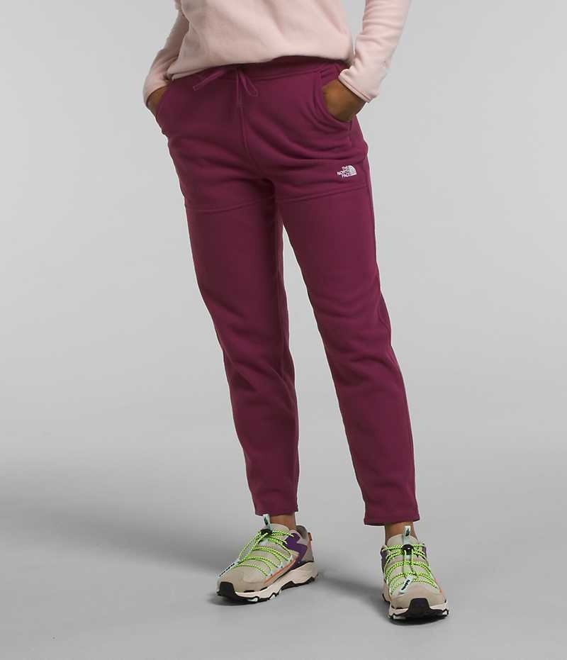 Women\'s The North Face Alpine Polartec® 100 Fleece Pants Burgundy | OTTAWA NQBSEY