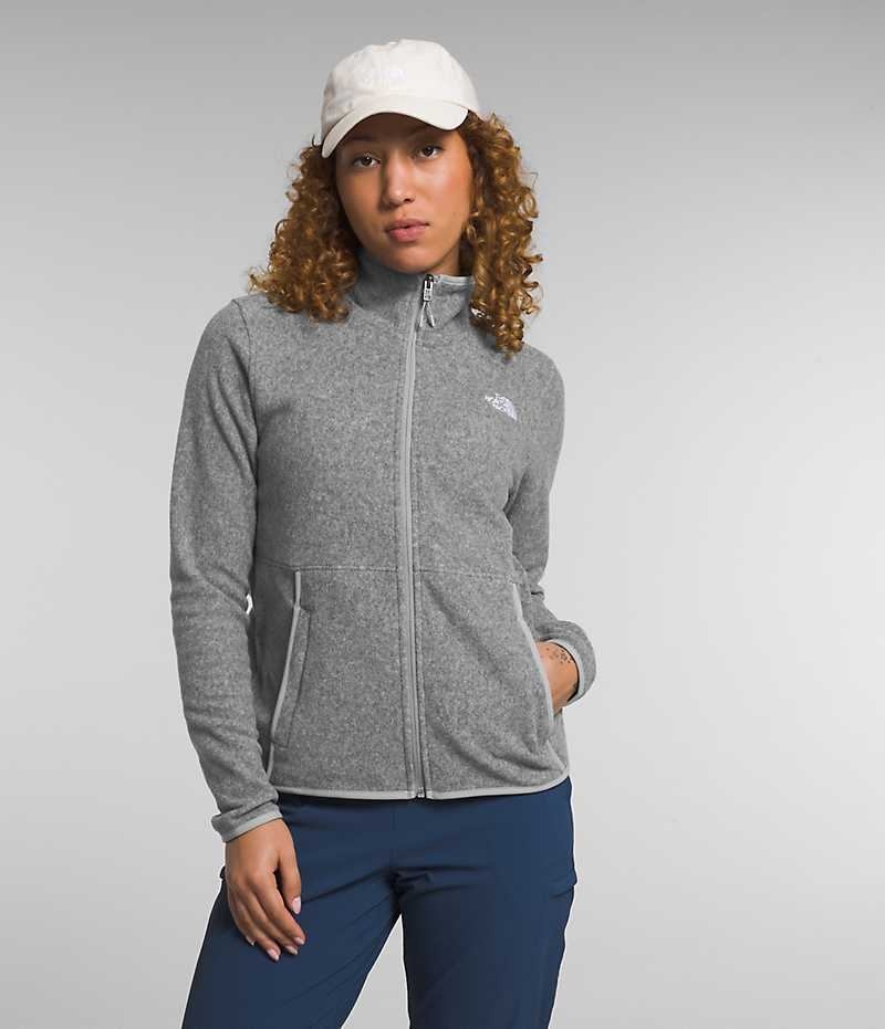 Women's The North Face Alpine Polartec® 100 Fleece Jacket Grey | OTTAWA CXDIZO