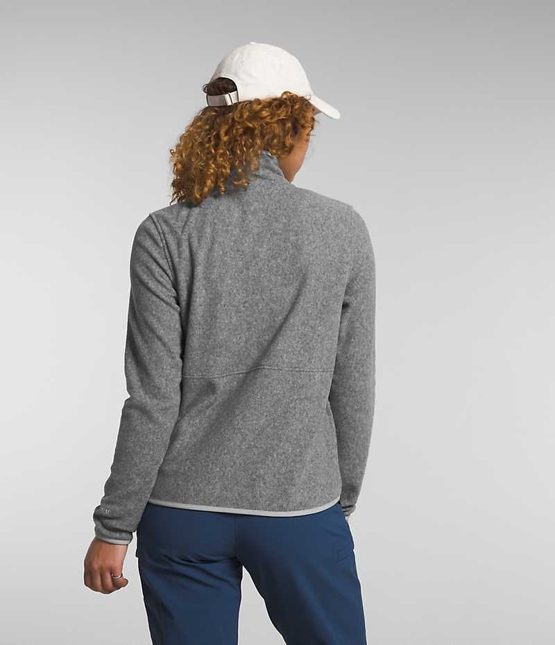 Women's The North Face Alpine Polartec® 100 Fleece Jacket Grey | OTTAWA CXDIZO