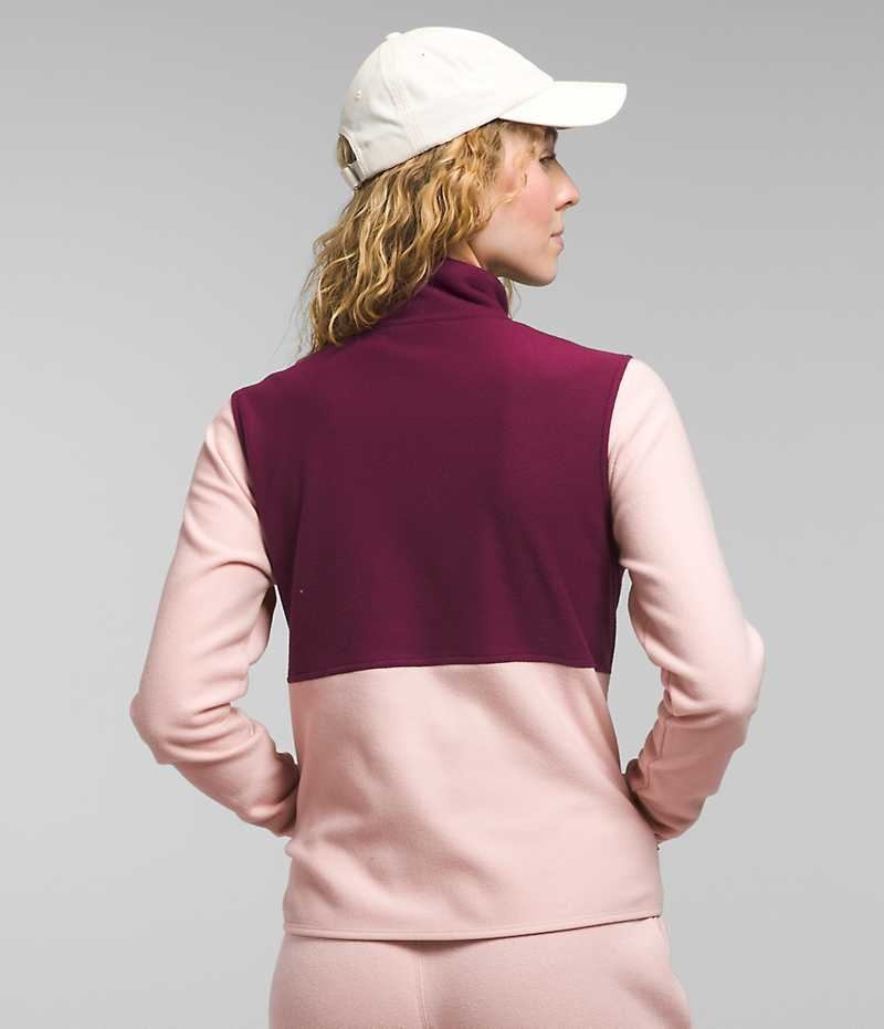 Women's The North Face Alpine Polartec® 100 Fleece Jacket Pink | TORONTO JLHMIU