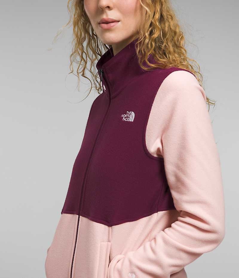 Women's The North Face Alpine Polartec® 100 Fleece Jacket Pink | TORONTO JLHMIU