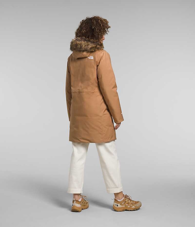 Women's The North Face Arctic Parka Brown | CANADA QVDZXC