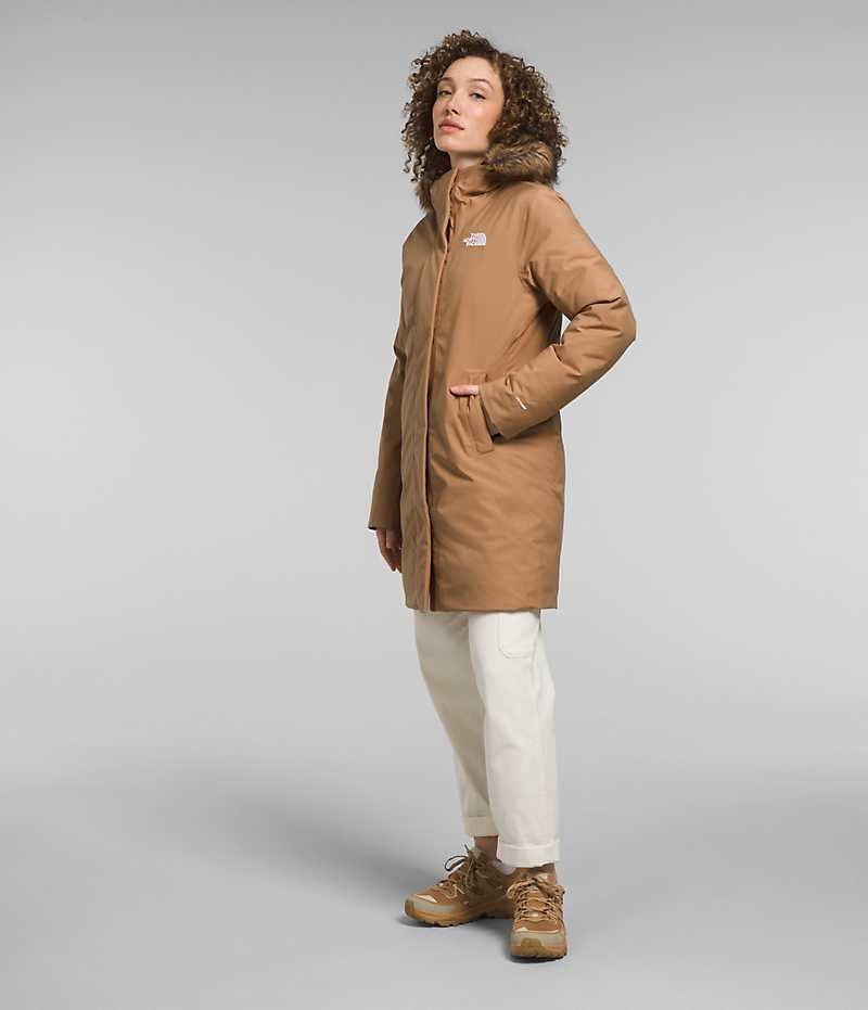 Women's The North Face Arctic Parka Brown | CANADA QVDZXC