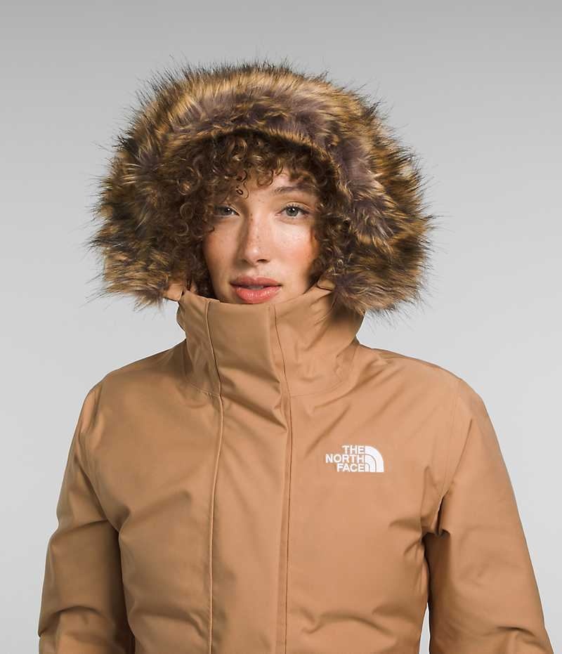 Women's The North Face Arctic Parka Brown | CANADA QVDZXC