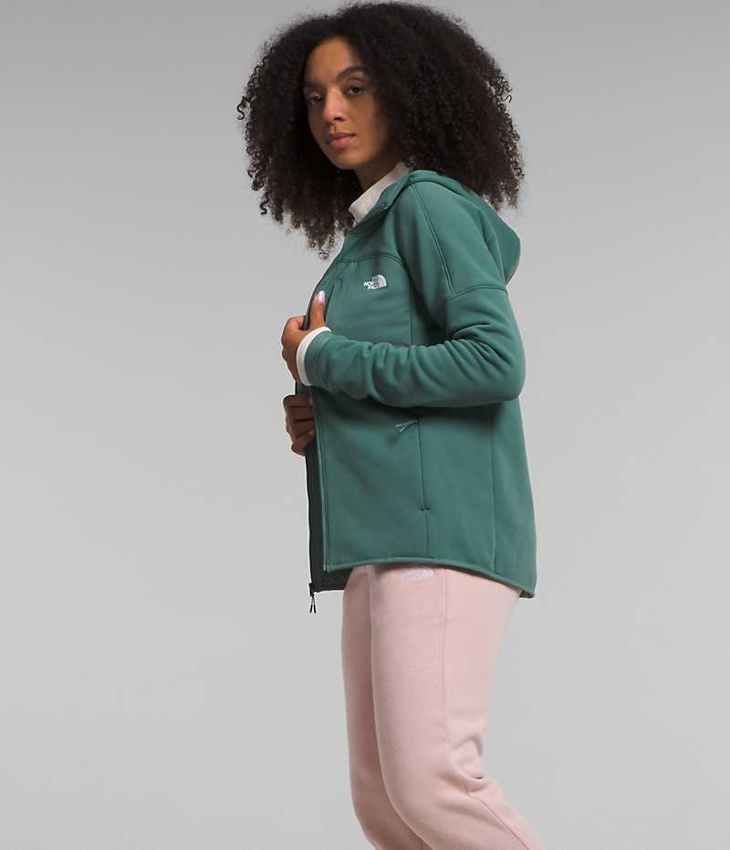 Women's The North Face Canyonlands High Altitude Hoodie Fleece Jacket Green | OTTAWA FLNAUK