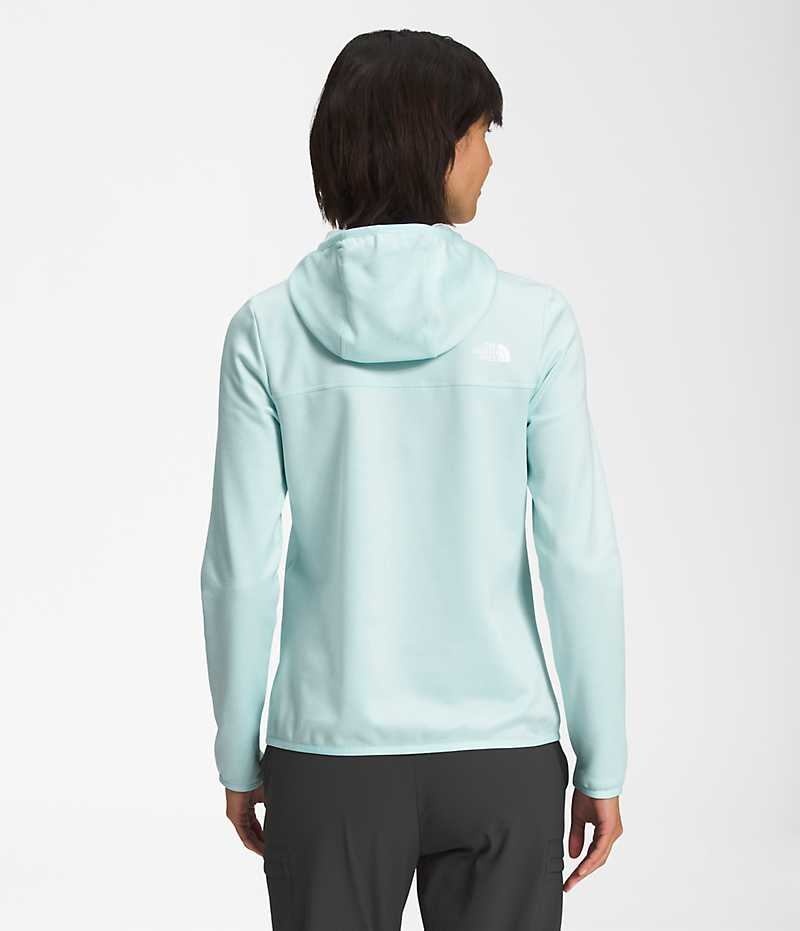 Women's The North Face Canyonlands Hoodie Fleece Jacket Light Blue | CANADA JWQRTZ