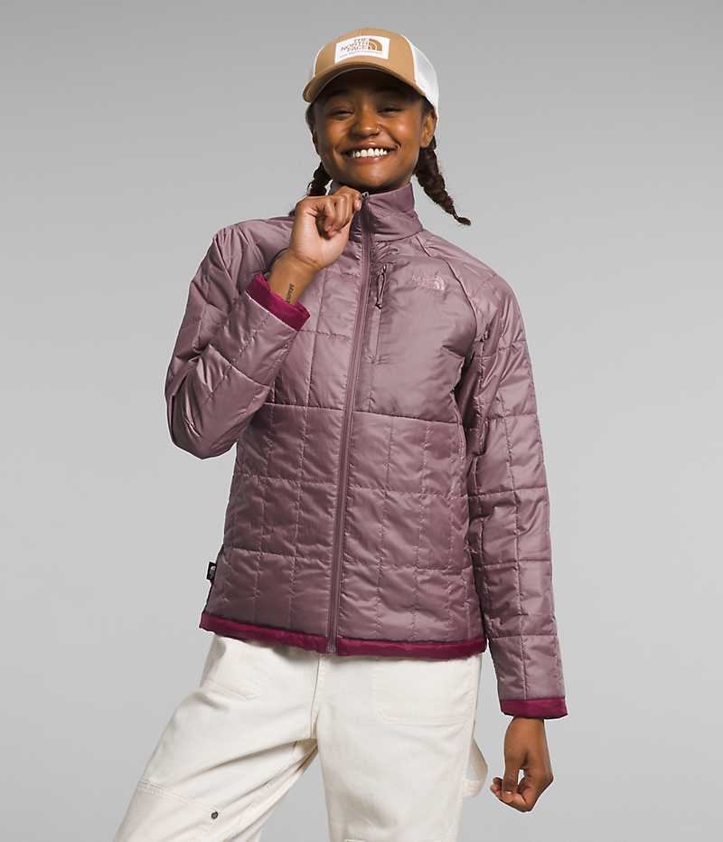 Women\'s The North Face Circaloft Down Jacket Fuchsia | CANADA ZOIVEB