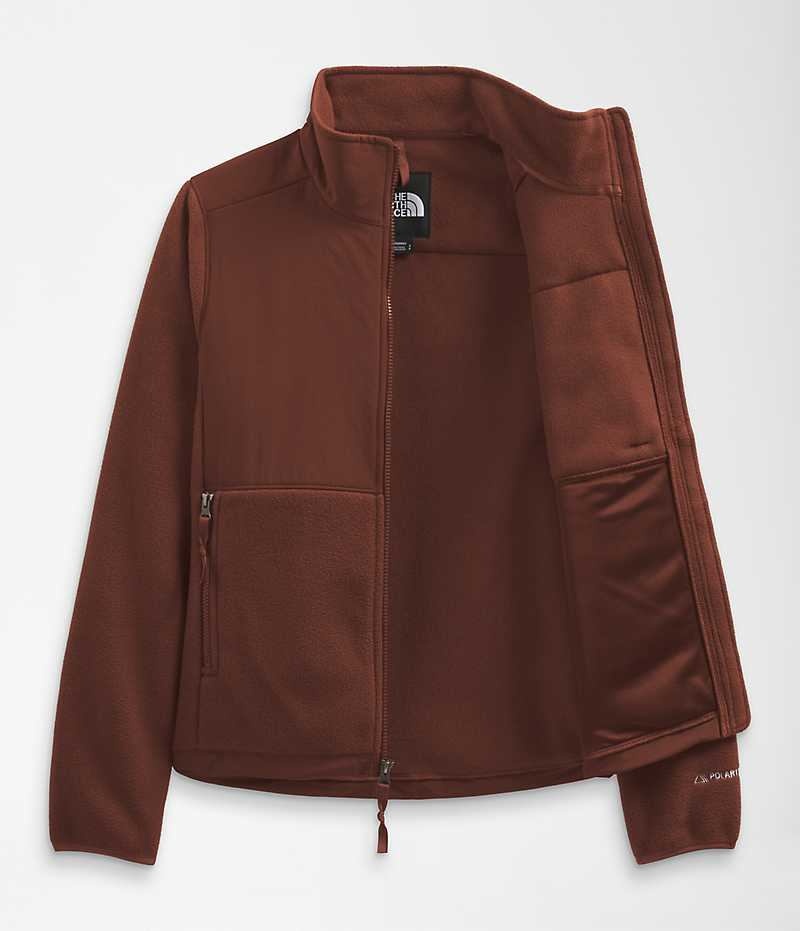 Women's The North Face Denali Fleece Jacket Brown | TORONTO DESZKP