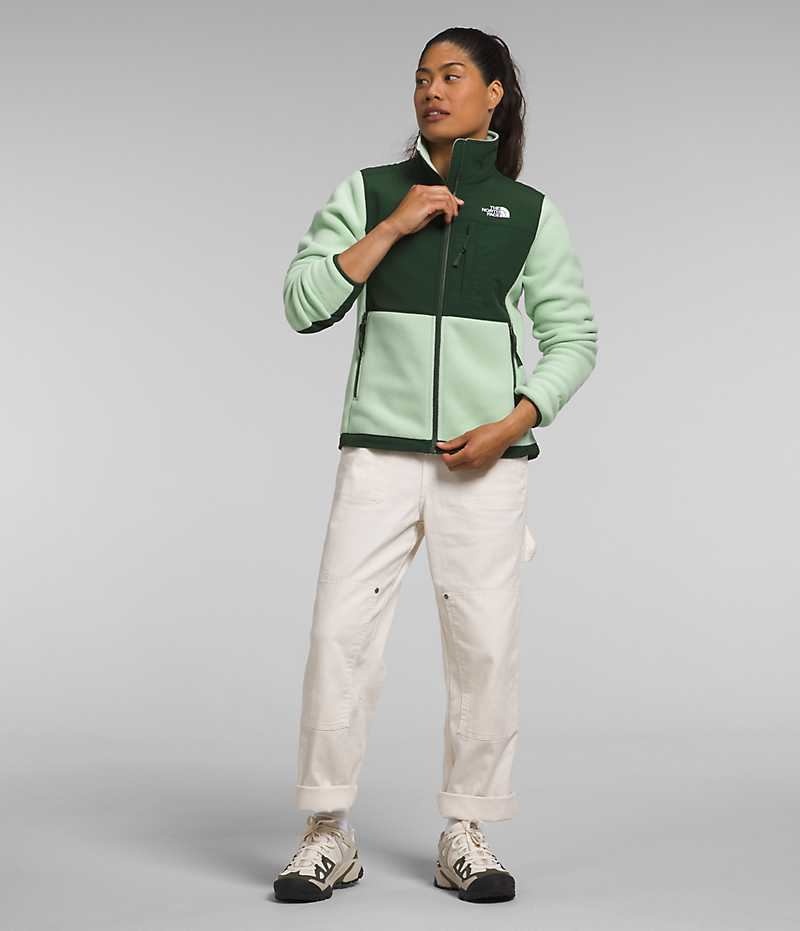 Women's The North Face Denali Fleece Jacket Green | CANADA IRYHOM