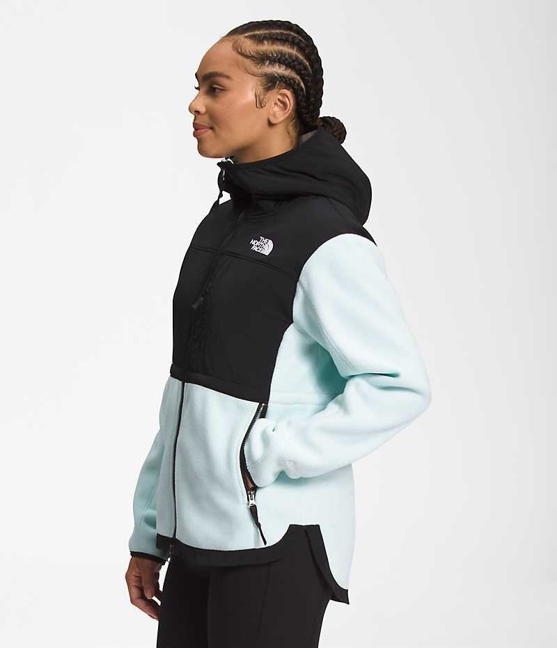 Women's The North Face Denali Hoodie Fleece Jacket Black / Turquoise | CANADA LWOUZD