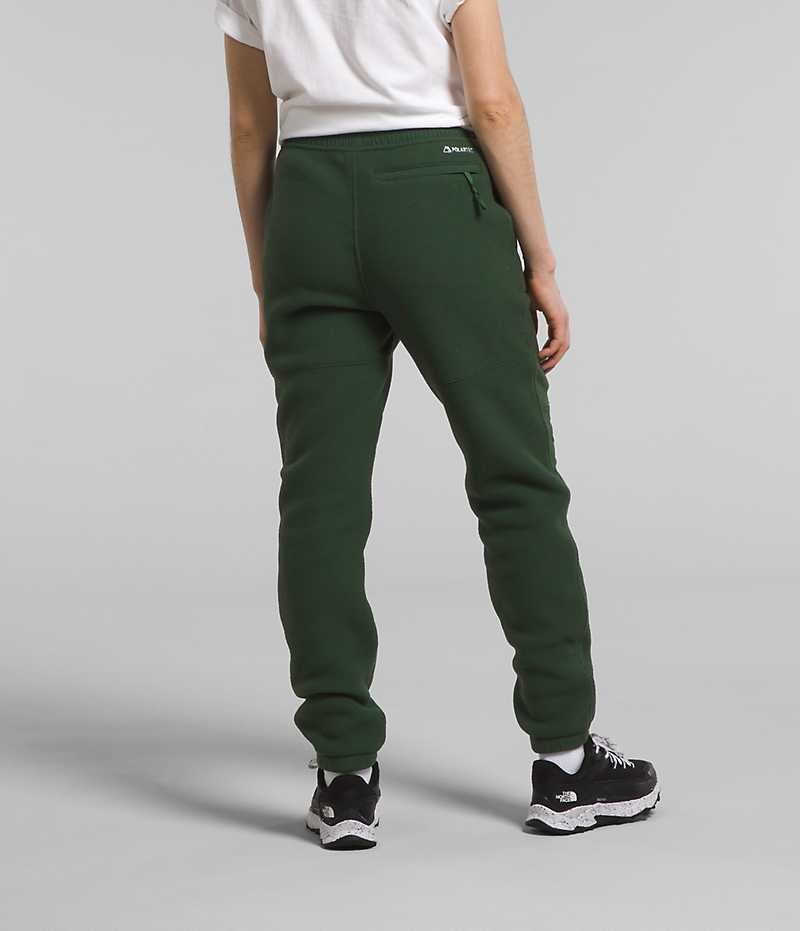 Women's The North Face Denali Pants Green | TORONTO KQWJID