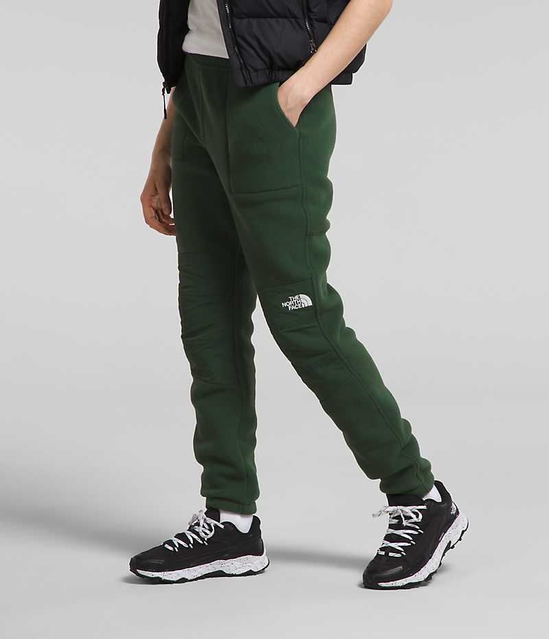 Women's The North Face Denali Pants Green | TORONTO KQWJID