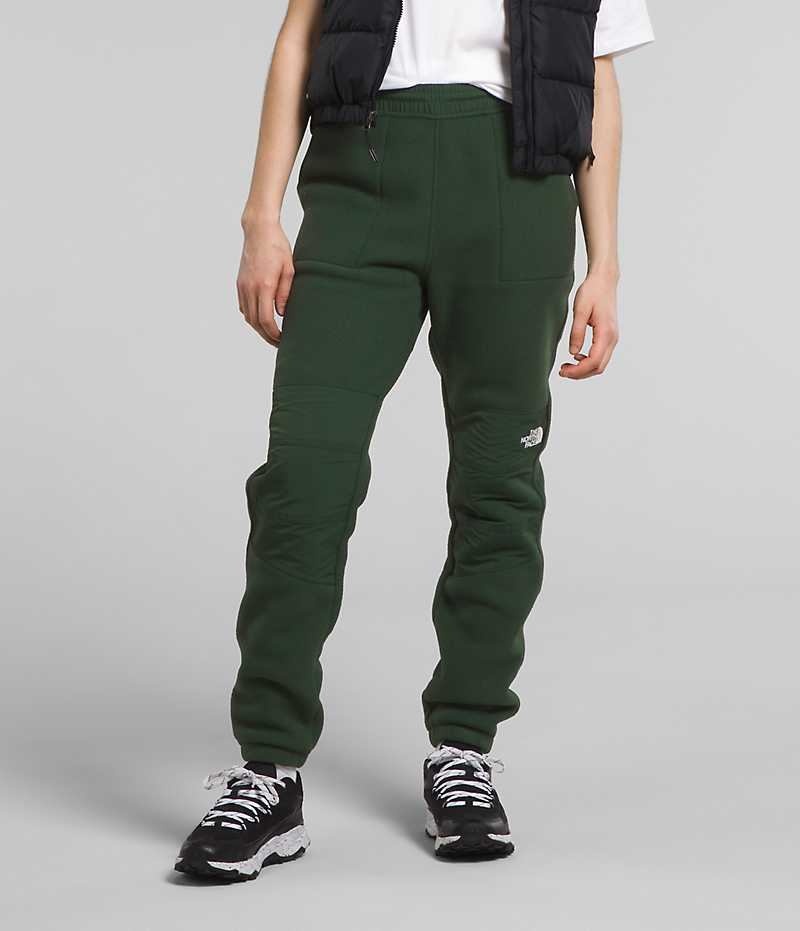 Women\'s The North Face Denali Pants Green | TORONTO KQWJID