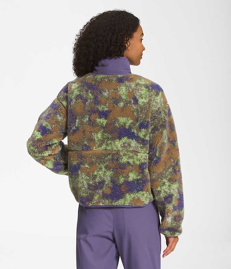 Women's The North Face Extreme Pile Pullover Multicolor | CANADA ZDRJQN