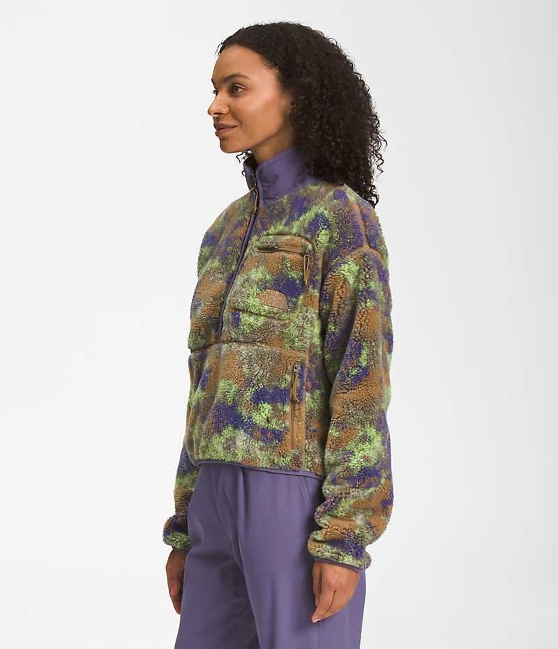 Women's The North Face Extreme Pile Pullover Multicolor | CANADA ZDRJQN